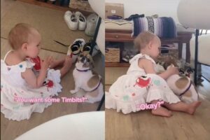 Mãe mostra bebê de 2 anos acalmando pet com ansiedade e viraliza