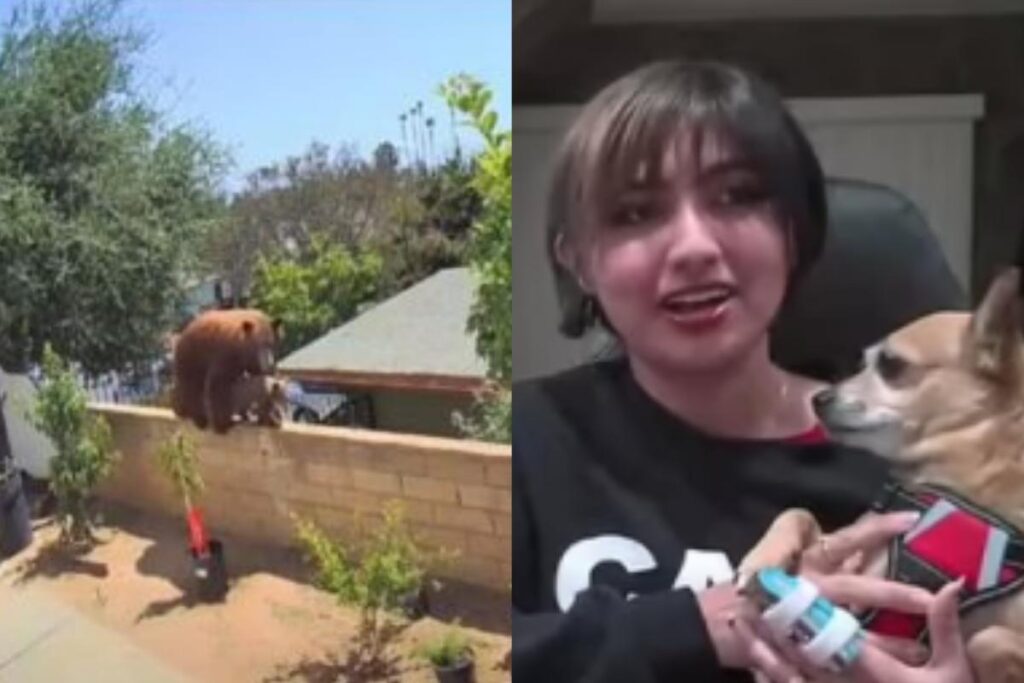 Hailey e a mãe, Citlally, falaram sobre o ocorrido no programa “Good Morning Britain”