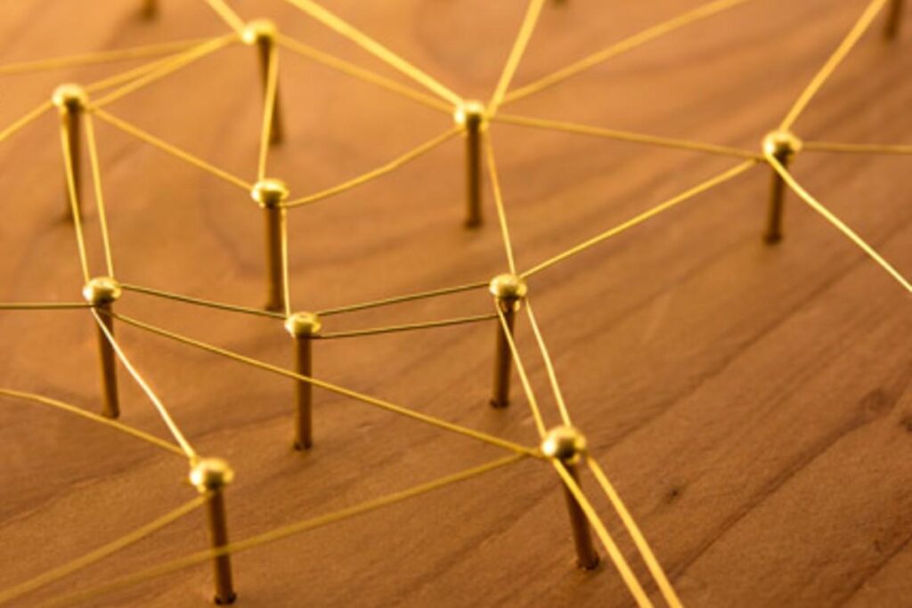 O fungo negro existe há centenas de anos na natureza