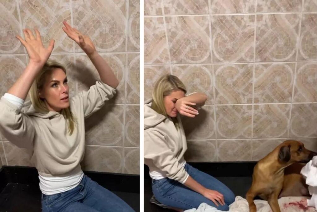 Ana Hickmann põe a mão na massa para ajudar no parto de cadela que teve 17 filhotes