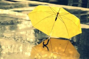 Masha ofereceu o próprio guarda-chuva para proteger o cachorro