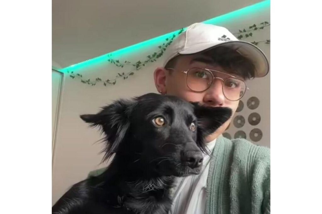 Alex Galleg, agora dono do cachorro, documentou pelo TikTok o momento em que o animal invadiu a casa
