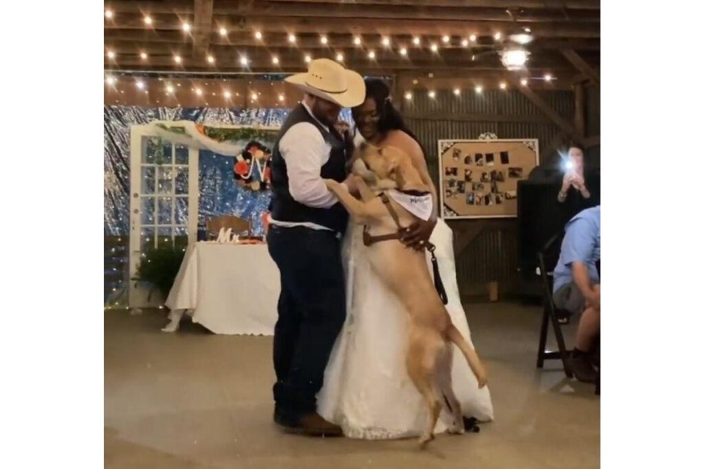 A legenda do post diz: “Eu o amei primeiro, mas agora amo os dois”