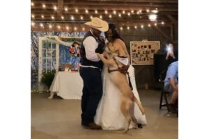 A legenda do post diz: “Eu o amei primeiro, mas agora amo os dois”