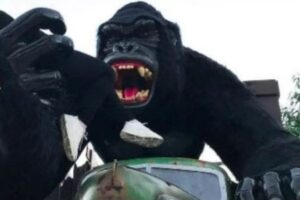 Criança de 6 anos cai de atração no Beto Carrero World