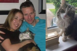 Frankie voltou para casa dias após sua cerimônia de despedida