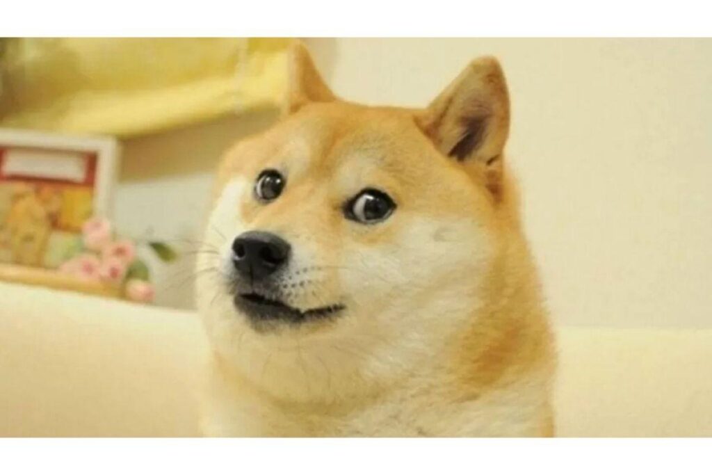 O meme ‘Disaster Girl’ faturou R$ 2, 5 milhões de reais em abril deste ano