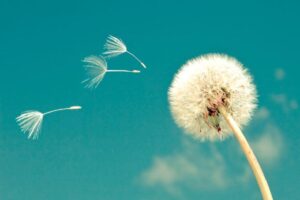 A parentalidade traz muitas questões, mas precisamos de calma para balanceá-las