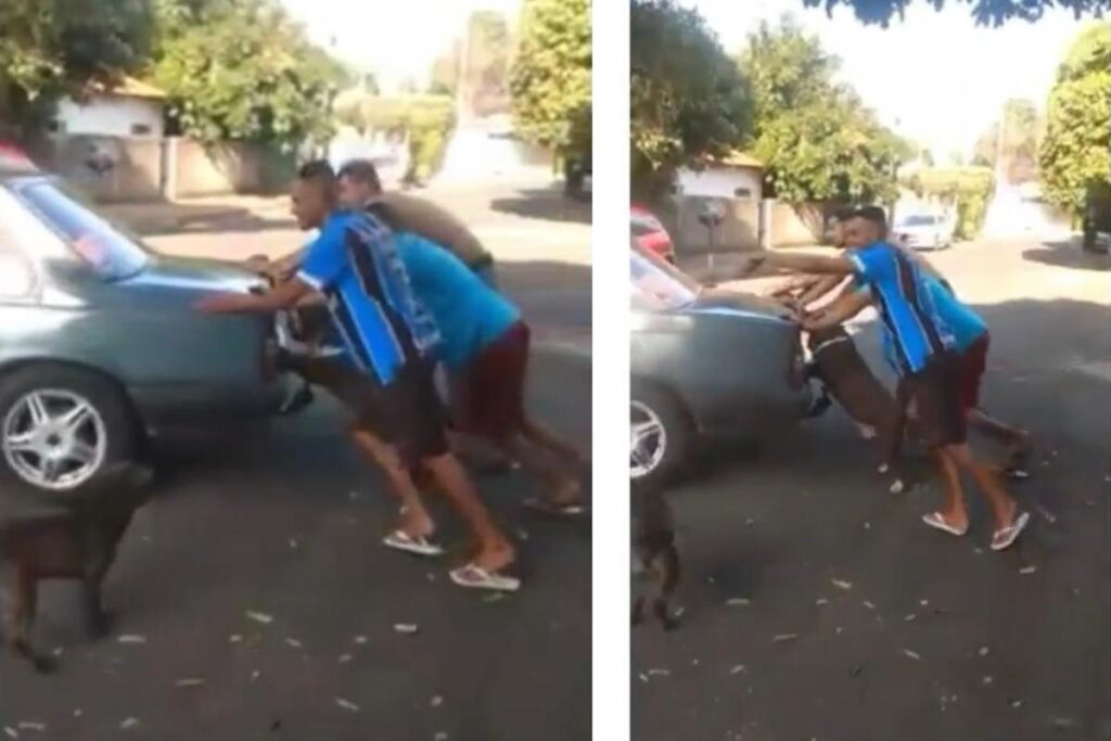 Cachorro ajuda a empurrar carro quebrado na rua