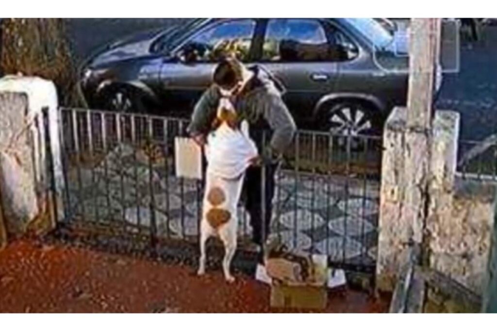 Uma família decidiu doar uma nova roupinha para o bichinho!