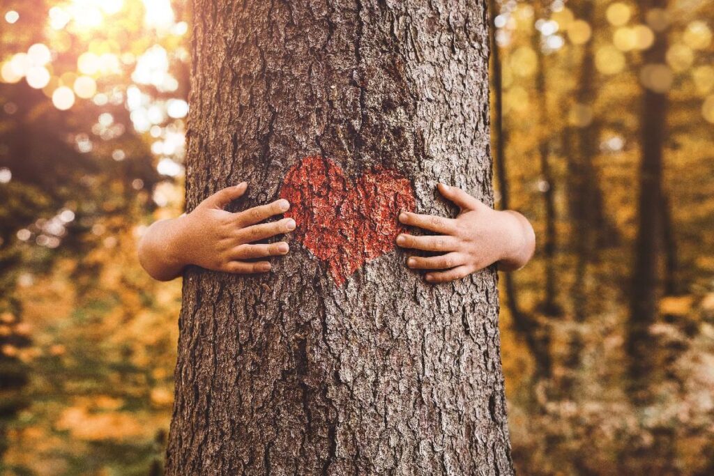 Ouvir os mais velhos é como reviver a história