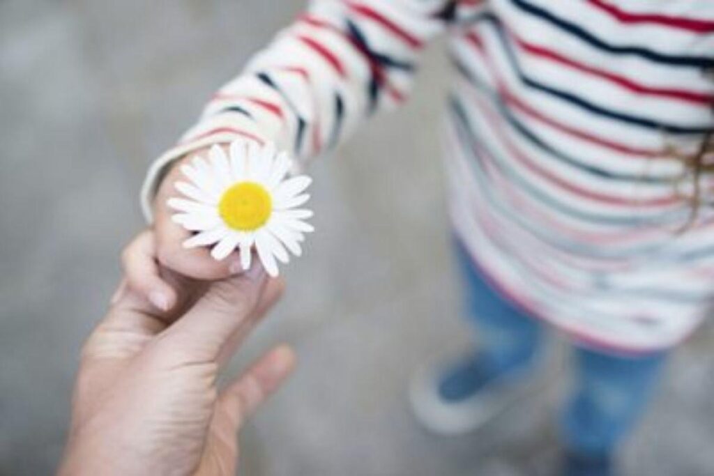 A desconhecida deixou flores e um bilhete para a família