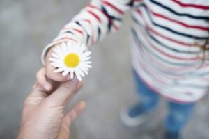 A desconhecida deixou flores e um bilhete para a família