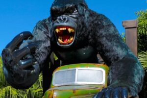 Menino recebe alta após cair em parque