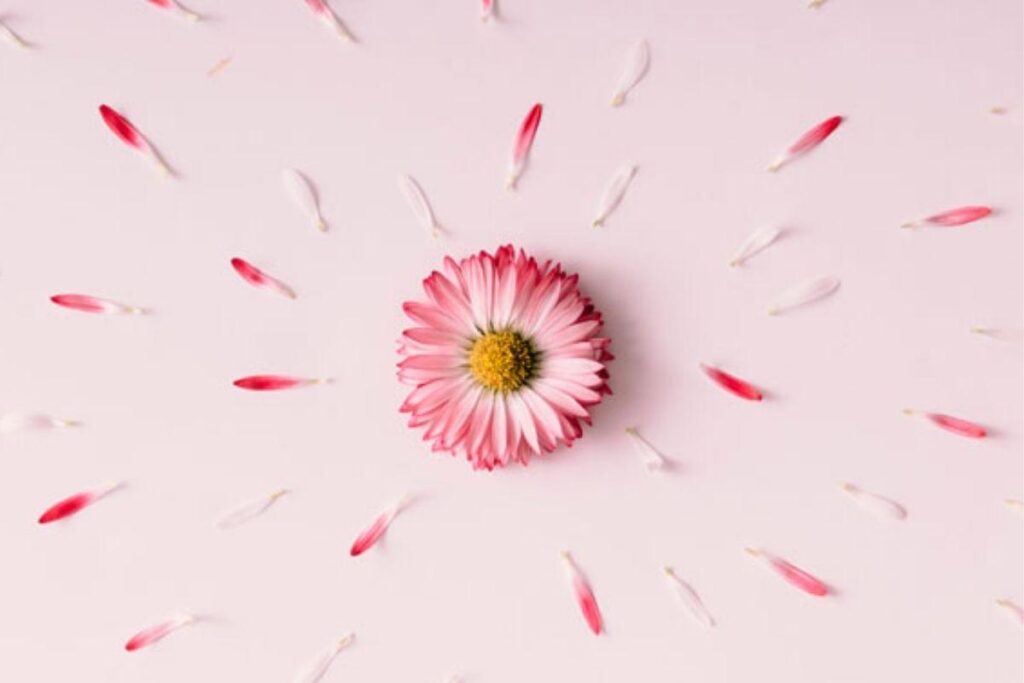 A gravidez química pode acontecer mais de uma vez com a mesma mulher