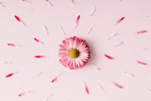 A gravidez química pode acontecer mais de uma vez com a mesma mulher