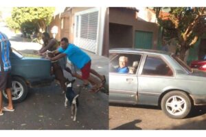 O vídeo viralizou na internet