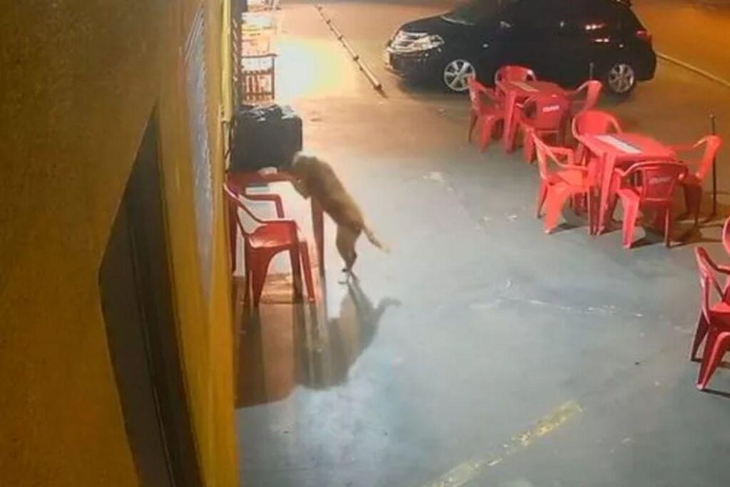 Após o ocorrido Armando se encontrou com o motoboy Gabriel.