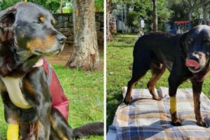 Max passou os últimos momentos feliz