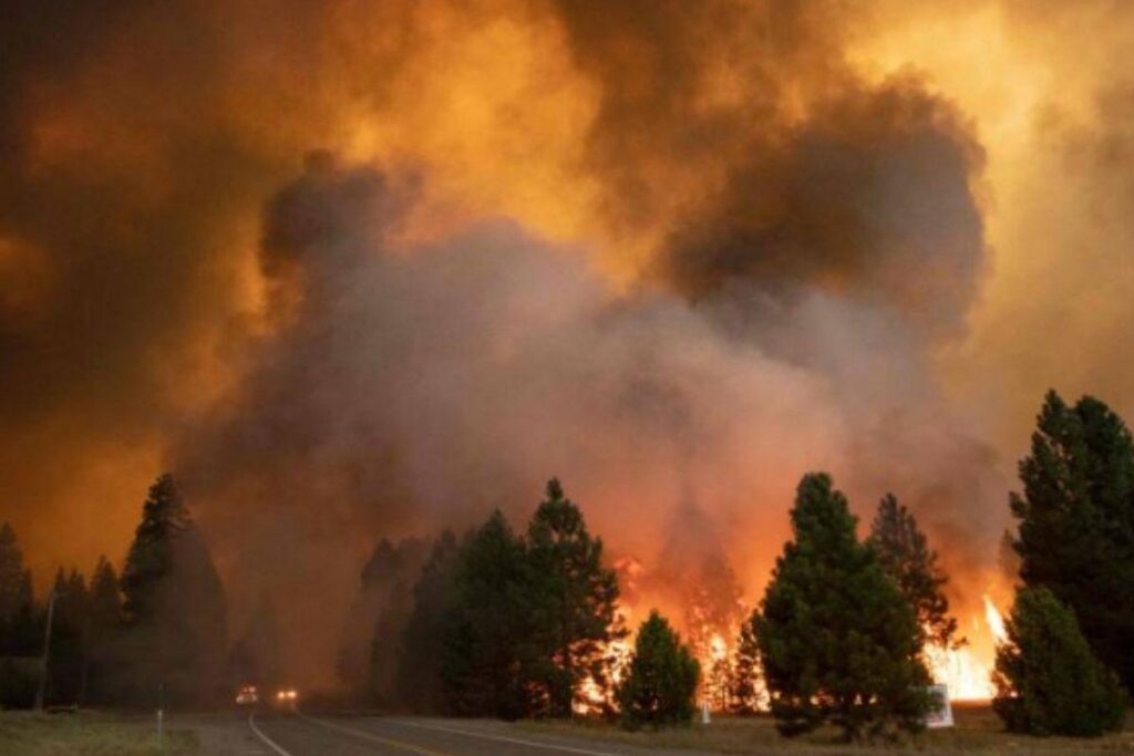 Greenville está sendo descrita como uma “cidade fantasma”