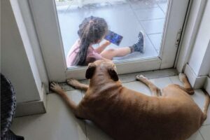 Uma menina e uma cadela de 12 anos ficaram algum tempo juntas através da porta de vidro da casa