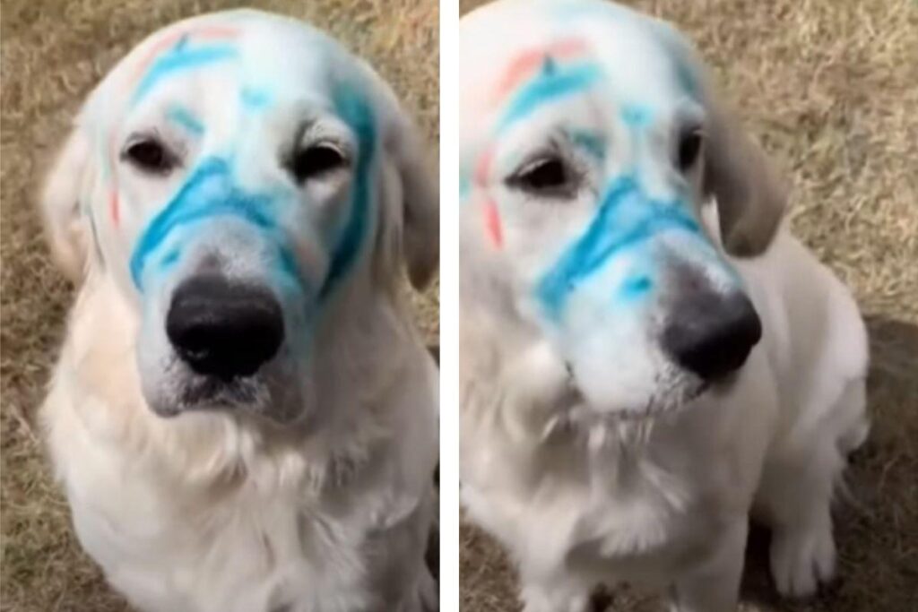 Viviane Araújo conta que adiou os planos de engravidar