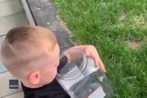 O menino cuidou da borboleta ainda quando era uma lagarta.