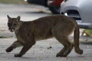 A criança foi levada ao hospital