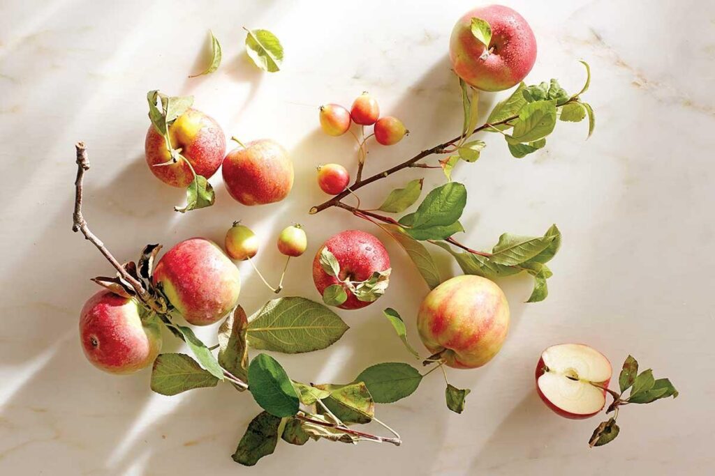 Sobremesa de maçã deliciosa