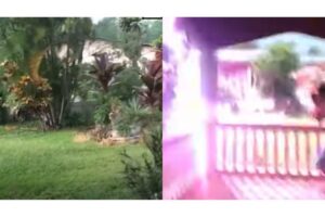 Ronald e o irmão filmaram o fenômeno surpreendente