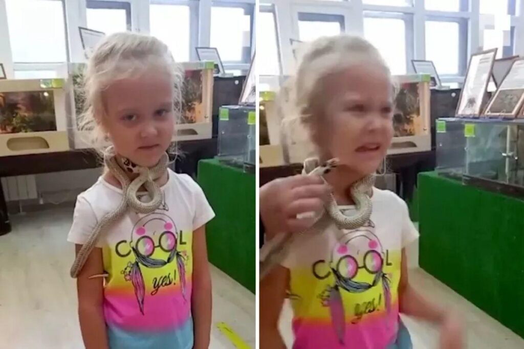 Ela foi levada para tratamento no hospital