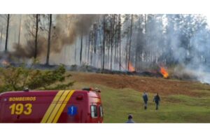 O Corpo de Bombeiros informou sobre o acidente no Twitter