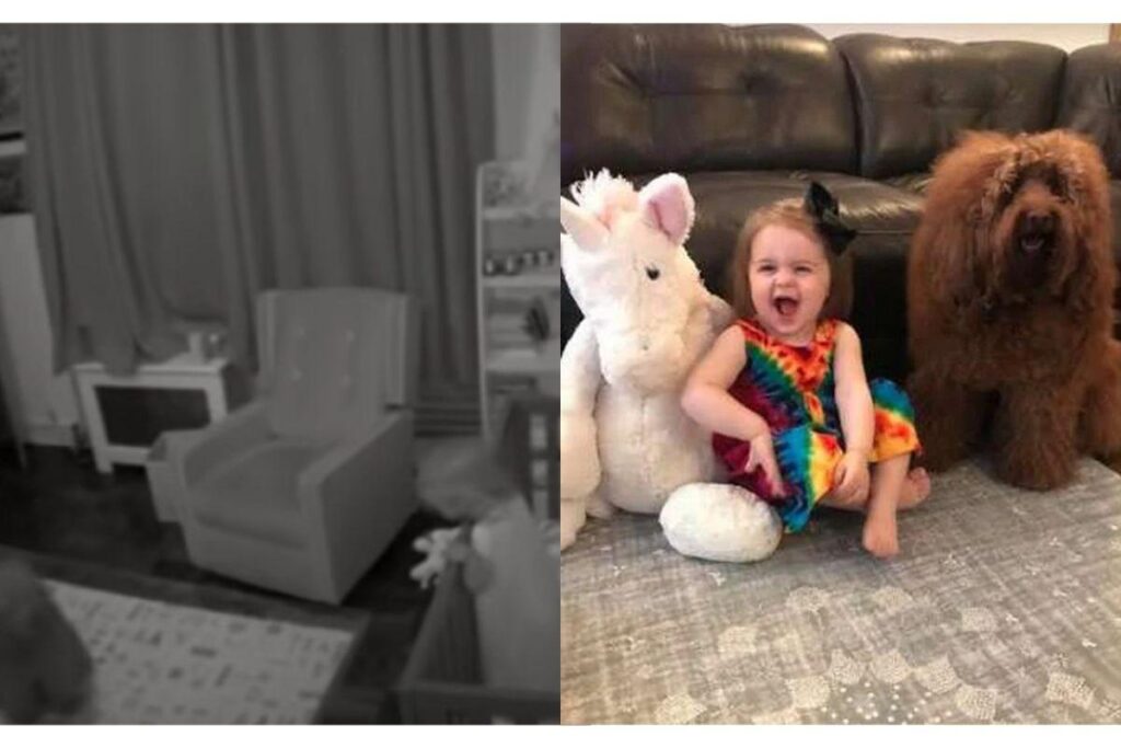 Os pais se surpreenderam com a reação do pet