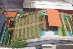 Horta no telhado