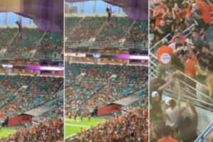 O gato ficou pendurado por alguns momentos antes de cair nos torcedores