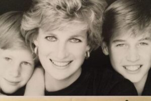 Princesa Diana faria de tudo para apaziguar a relação dos dois príncipes