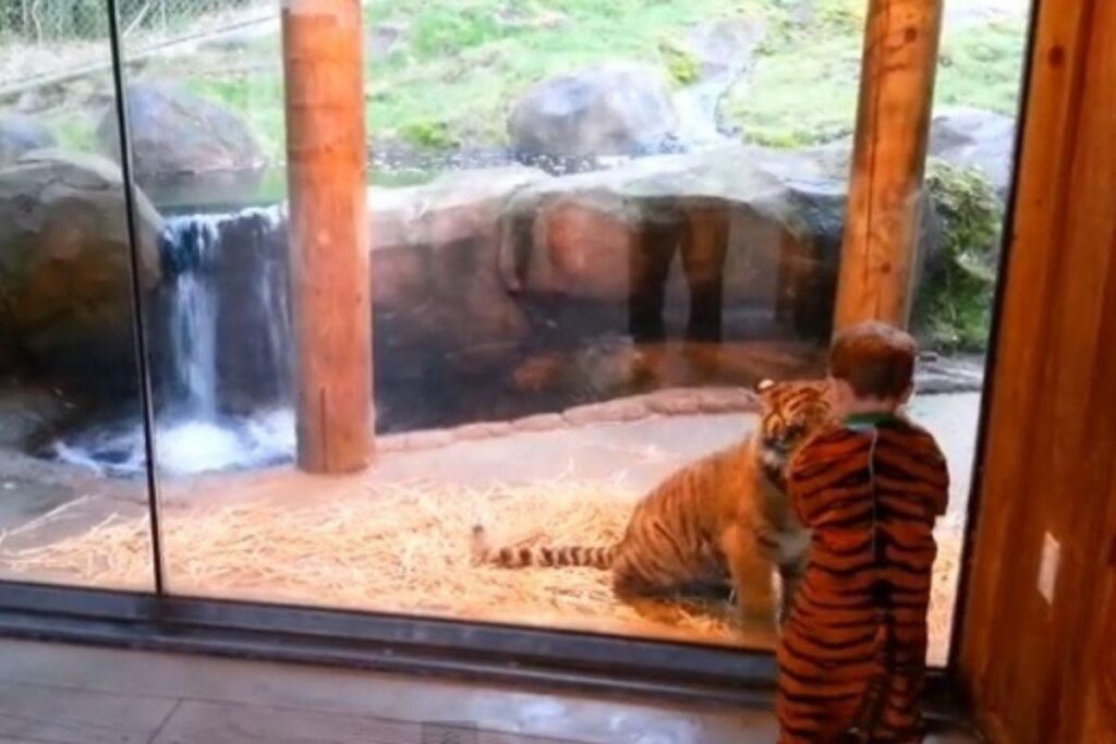 O bebê perdeu o polegar e precisa usar ataduras por enquanto