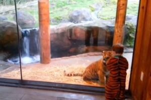 O bebê perdeu o polegar e precisa usar ataduras por enquanto