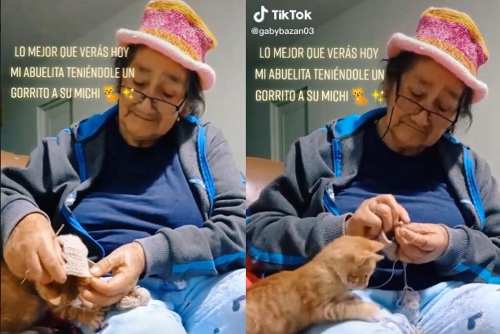 Vídeo de avó costurando um gorro para o gato da família viraliza