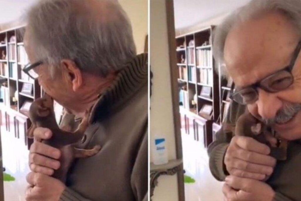 O vídeo já acumula mais de meio milhão de visualizações no TikTok