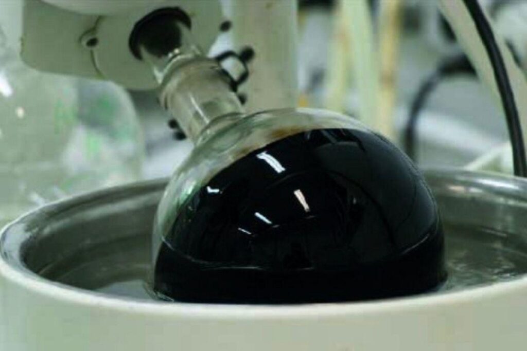 Estudantes brasileiros desenvolvem uma placa solar com Castanha de Caju