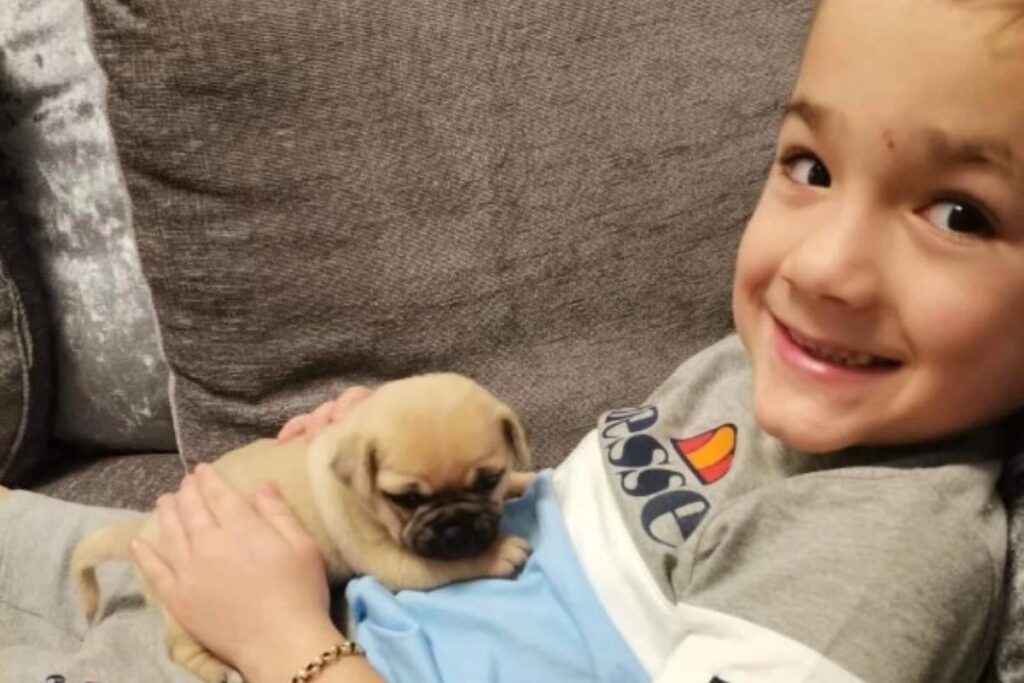 Geroge desapareceu durante uma visita em um museu