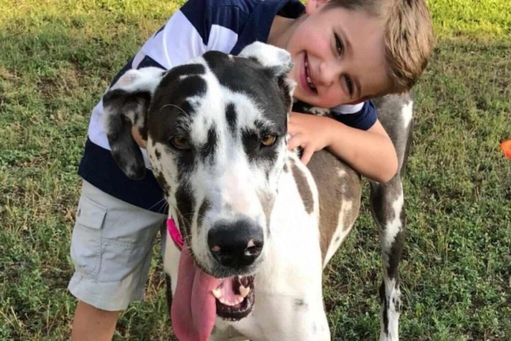 Menino usa forma curiosa (e infálivel!) de convencer a mãe a adotar o maior cachorro do abrigo