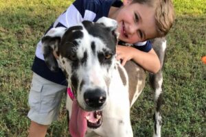 Menino usa forma curiosa (e infálivel!) de convencer a mãe a adotar o maior cachorro do abrigo