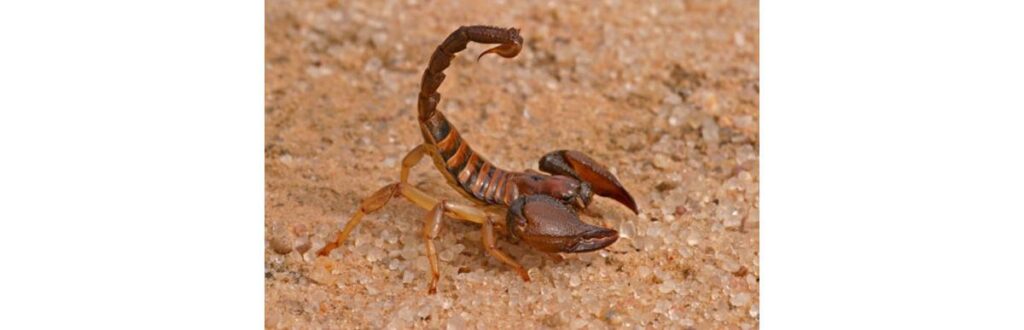 Os colegas tiravam sarro do menino por causa do peso dele