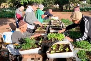 Os idosos se sentem felizes em poder contribuir com a horta
