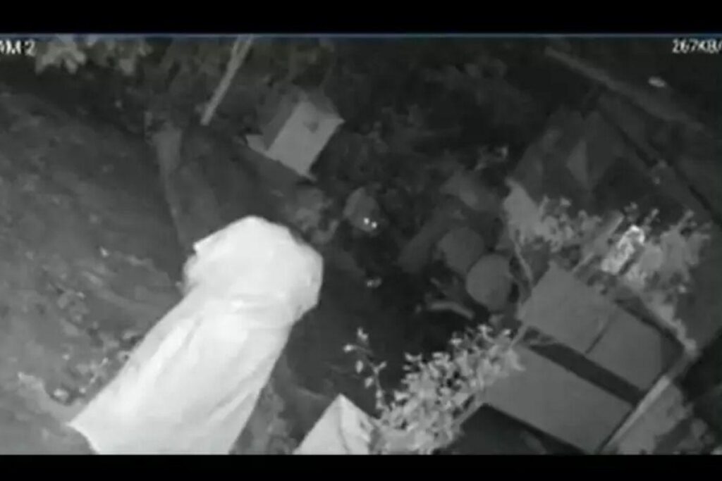 Câmeras de segurança registraram o ataque