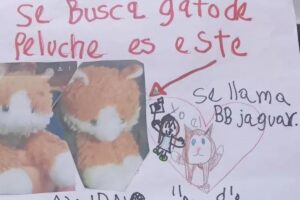 A menina fez um carta oferecendo recompensa pelo urso de pelúcia