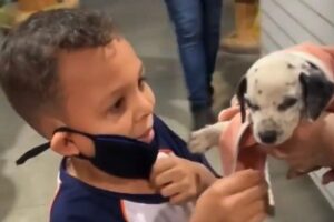 O vídeo já acumula mais de meio milhão de visualizações no TikTok