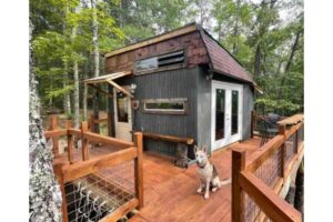 Casa na árvore de Eli